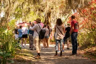 Charleston Plantation and City Bus Tour thumbnail 1