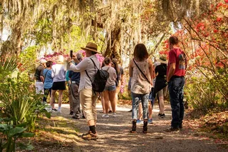 Charleston Plantation and City Bus Tour