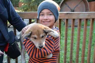 Skagway Musher's Camp and S'More Experience thumbnail 6