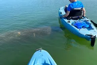 Bonita Springs Kayak EcoTour thumbnail 2
