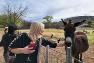 Sedona Private Wine Tour thumbnail 4