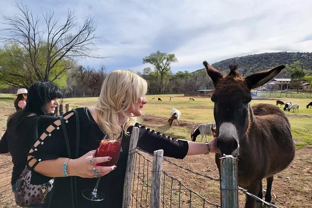 Sedona Private Wine Tour - Image 4