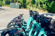 Naples Guided Bike and Trike Tour thumbnail 2