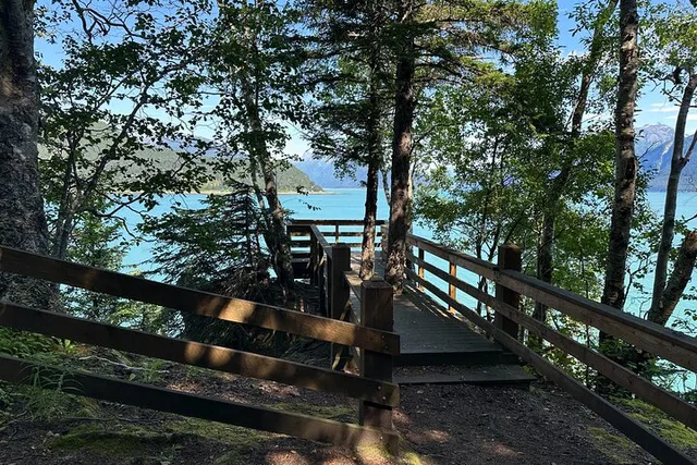 Haines Forest Therapy Tour - Image 2