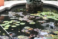 New York City Central Park Walking Tour thumbnail 2