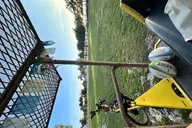 Key West Tiki Pedicab Experience thumbnail 6