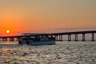 Destin Dolphin Cruise at Sunset 2 hr thumbnail 3