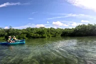 Anna Maria Pedal Kayak Eco-Tour thumbnail 5