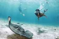 Lauderdale-By-The-Sea Snorkeling Experience with Nemo Diving System thumbnail 4