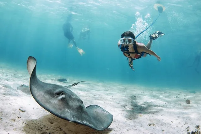 Lauderdale-By-The-Sea Snorkeling Experience with Nemo Diving System - Image 4
