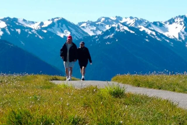 Seattle Olympic National Park Van/Ferry Tour - Image 2