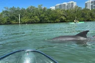 Naples Clear Kayak Eco Tour thumbnail 1