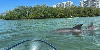 Naples Clear Kayak Eco Tour
