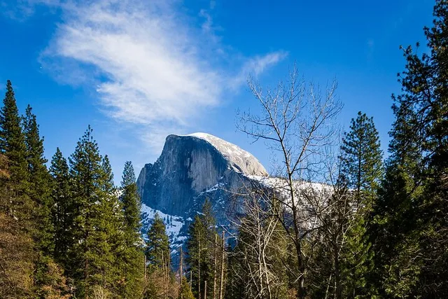San Francisco Yosemite Private Tour - Image 5