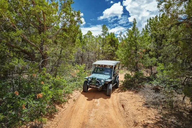 Zion East Rim Jeep Tour - Image 5