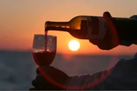 Key West Wind and Wine Sunset Sail thumbnail 4