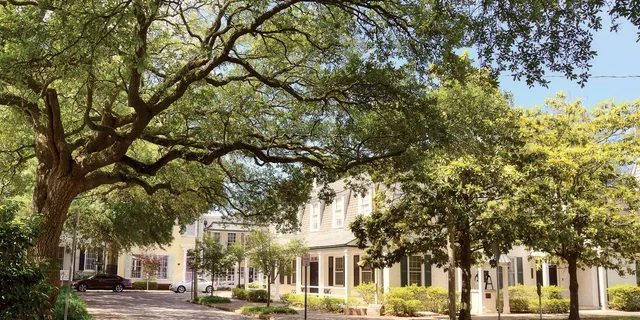 Savannah History and Culture Walking Tour - Image 5