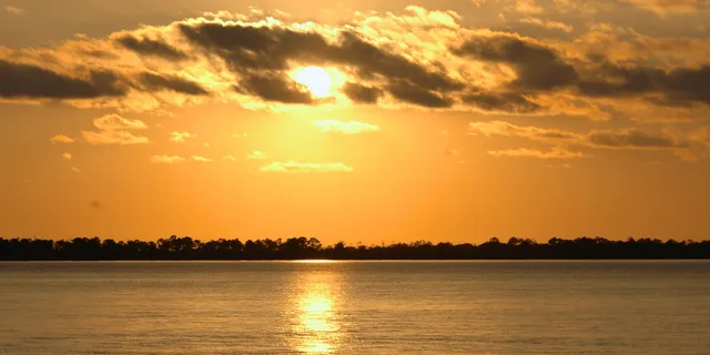 Destin Dolphin Cruise at Sunset - Image 4