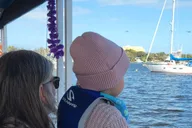 Cocoa Beach Dolphin Sightseeing Tour 2 hr thumbnail 5