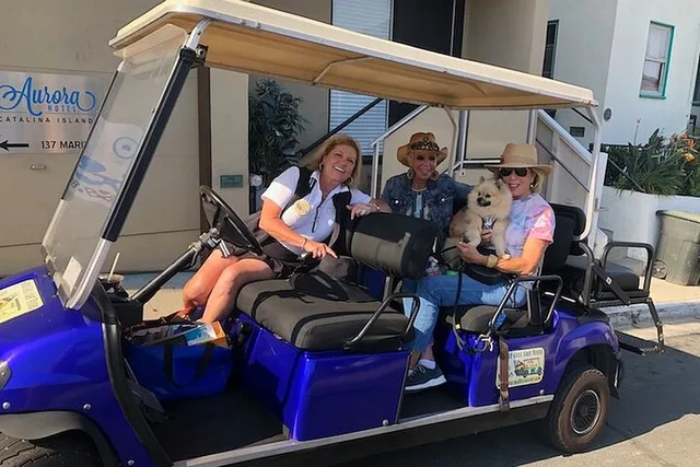 Avalon Guided Golf Cart Tour - Image 3