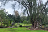 Hilo Meditative Garden Journey thumbnail 1