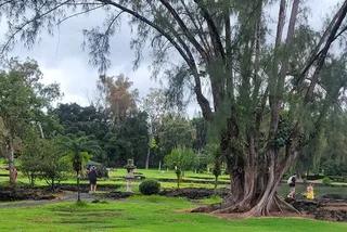 Hilo Meditative Garden Journey