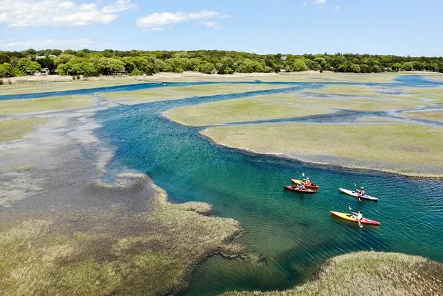 Cape Cod Kayak Nature Tour - Image 5