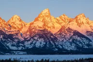 Jackson Hole Wildlife Safari Tour thumbnail 5