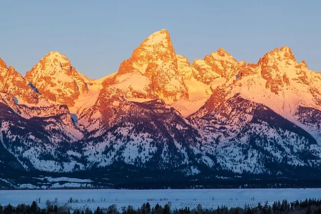 Jackson Hole Wildlife Safari Tour - Image 5
