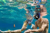 Kailua Kona Snorkeling Tour at Kealakekua Bay 3 hr thumbnail 2