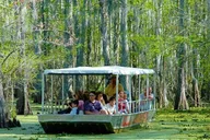 New Orleans Swamp and Bayou Boat Tour thumbnail 6