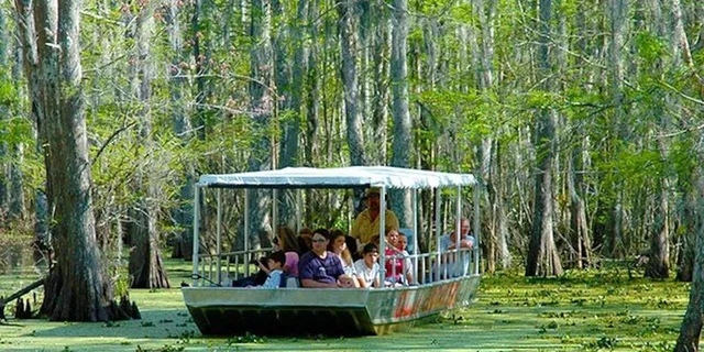 New Orleans Swamp and Bayou Boat Tour - Image 6