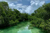 Key West Sandbar and Paddle Adventure thumbnail 5