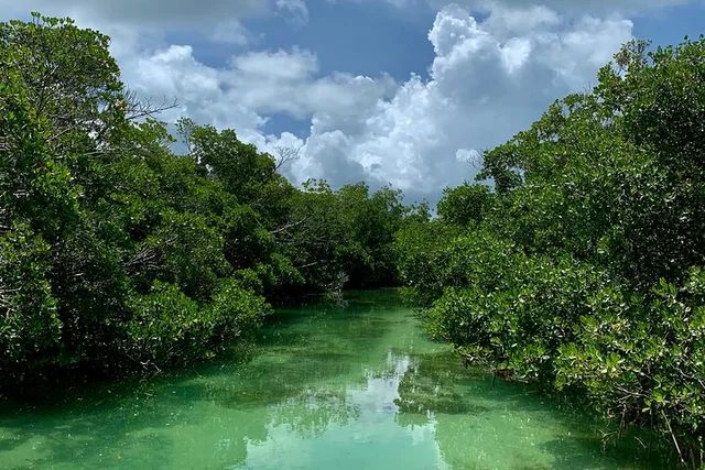 Key West Sandbar and Paddle Adventure - Image 5