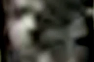 Williamsburg Ghost Tour thumbnail 5