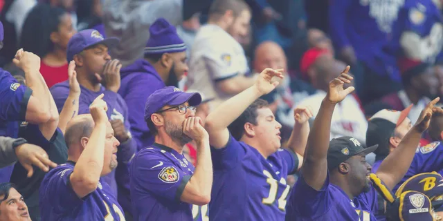 Baltimore Ravens Football Game at M&T Bank Stadium - Image 2