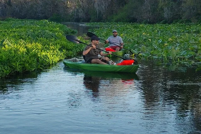Wekiva Wildlife Kayaking Tour - Image 6