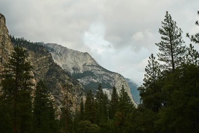 Kings Canyon Private Tour and Hike - Image 4
