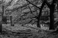 Boston Haunted Ghost Tour After Dark thumbnail 3