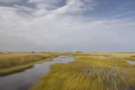 Fort Lauderdale Everglades Safari thumbnail 4
