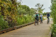 Hilton Head E-Bike Tour thumbnail 6