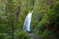 Portland Multnomah Falls and Columbia Gorge Tour thumbnail 6