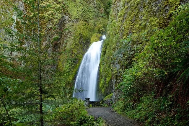 Portland Multnomah Falls and Columbia Gorge Tour - Image 6