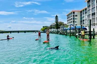 Fort Myers Dolphin and Manatee Adventure Tour 2 hr thumbnail 4