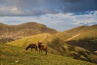 Estes Park Rocky Mountain Small Group Tour thumbnail 5