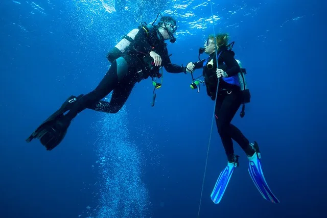 Waikiki Scuba Reef Dive for Certified Divers 90 Min - Image 3