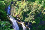 East Maui Rainforest and Road to Hana Tour thumbnail 2