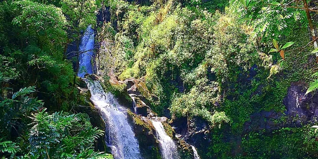 East Maui Rainforest and Road to Hana Tour - Image 2