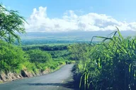 Oahu North Shore Hiking Tour thumbnail 3