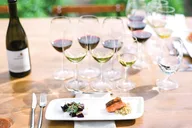 San Francisco Redwoods Tour with Winery Lunch thumbnail 2